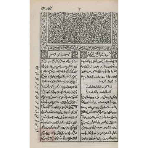 تحقيق الرؤيا